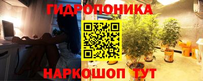 гашик Обнинск