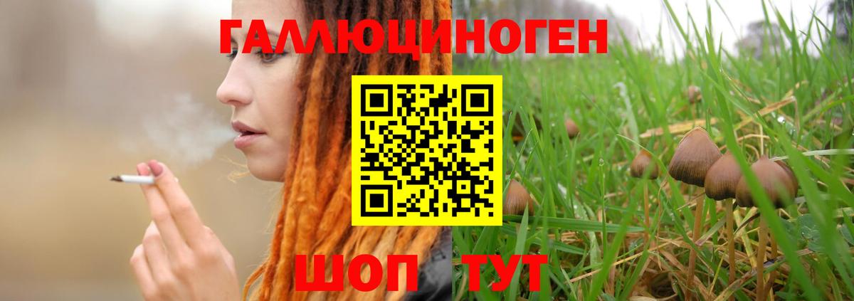 наркошоп  Вход с VPN  Узловая  Псилоцибиновые грибы мицелий 